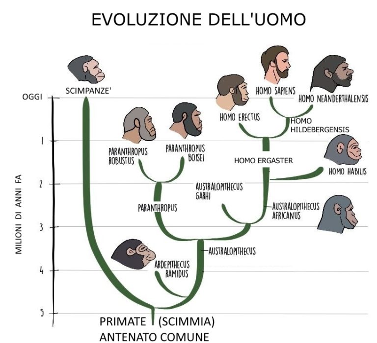 Storia Levoluzione Delluomo 1 Puntata La Mia Maestra